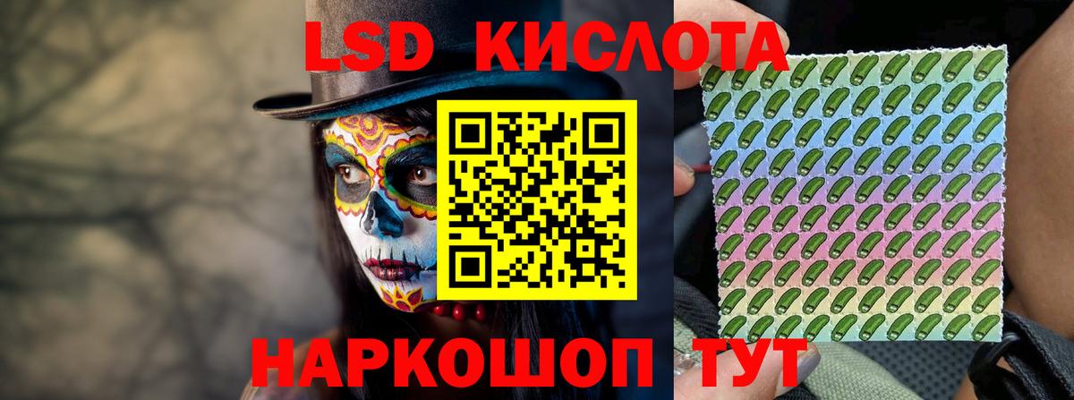 Галлюциногенные грибы Протвино